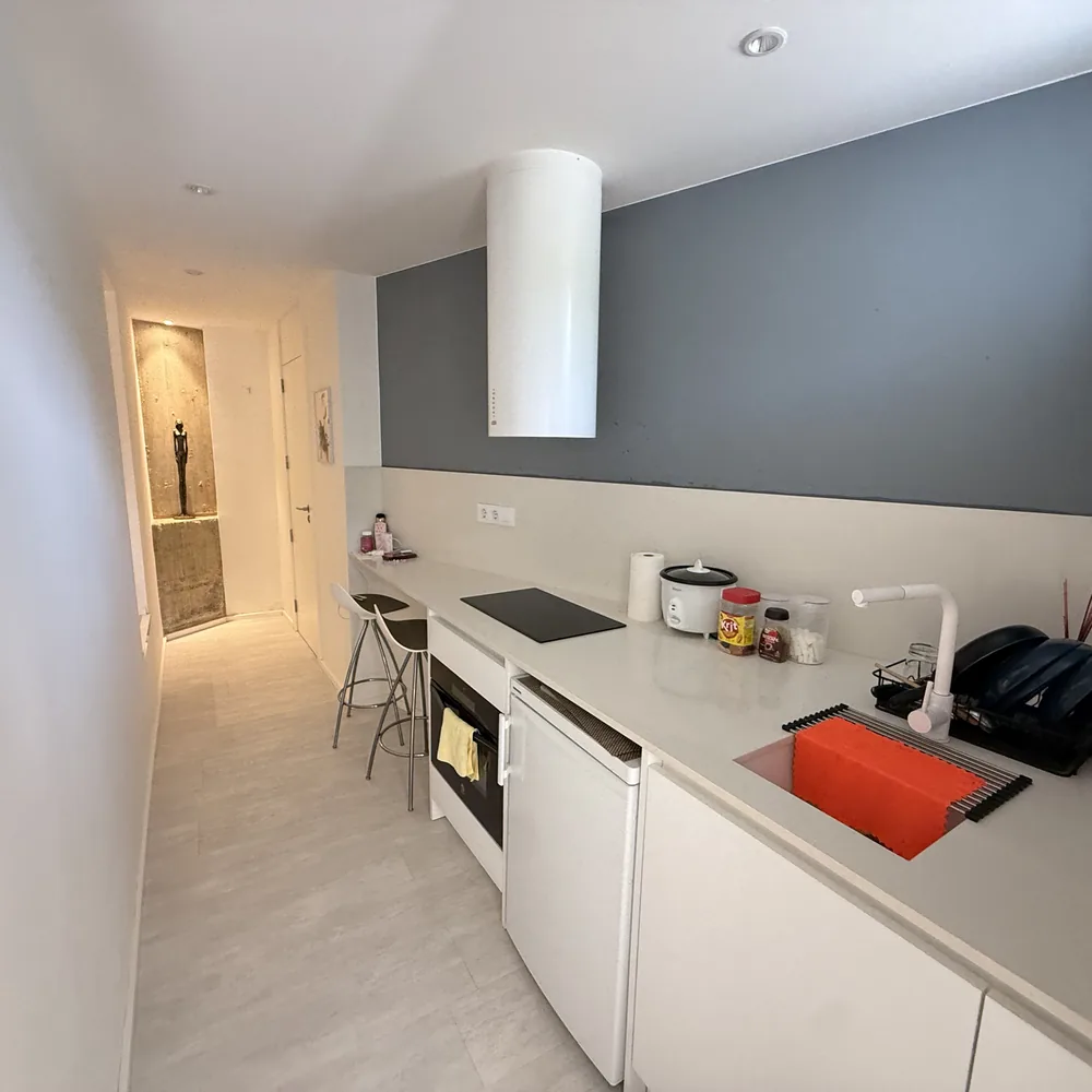 Kitchen of the guest apartment