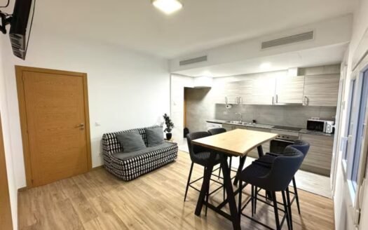 House with 2 Tourist Apartments for Sale, Blanes Centre